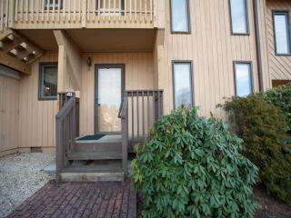 41 Pebble Creek Dr, Asheville, NC 28803-3256