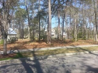 39 Porcher Pinkney, Beaufort, SC 29906-3103