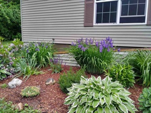 23 Jackson Rdg Rd, Danbury NH  03230-4147 exterior