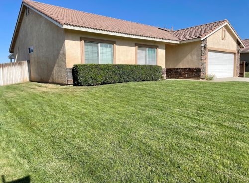 1705 Shane Ln, Beaumont, CA 92223-5175