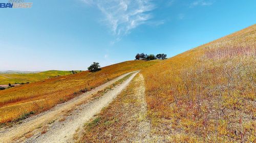 6901 Johnston Rd, Pleasanton CA  94588-9460 exterior