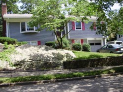 18 Myerson Ln, Newton, MA 02459-3509