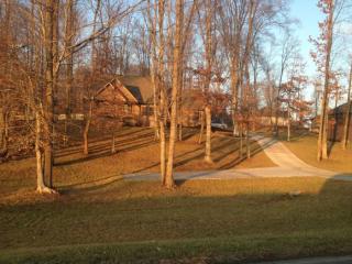 432 Telford New Victory Rd, Telford, TN 37690-2808