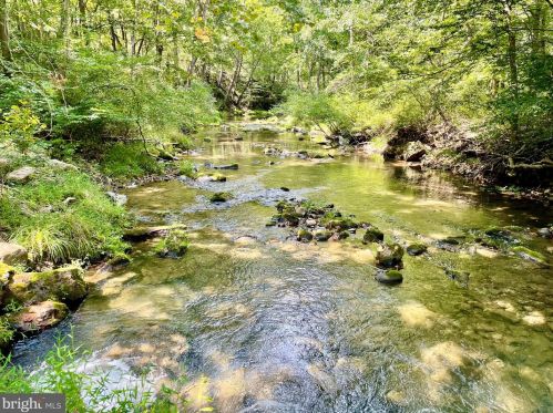 1168 Trout Run Cut Off Rd, Wardensville, WV 26851-8485