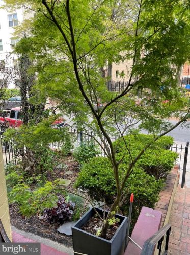 1106 Monroe St, Washington, DC 20010-2014