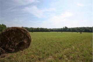 3503 Highway 431, Columbia TN  38401-7539 exterior