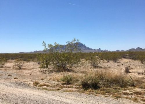 3705 424th Ave, Tonopah, AZ 85354-8346