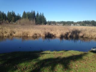 17224 Lakepoint Dr, Yelm, WA 98597-9275
