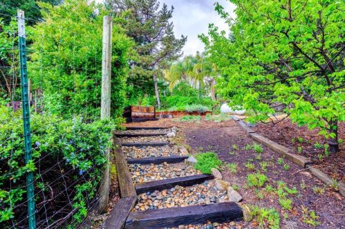 1325 Desmond Ln, Newcastle CA  95658-9683 exterior