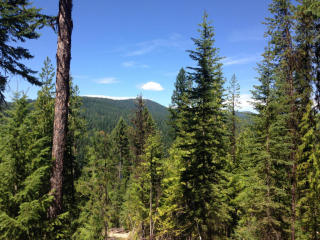 2668 Highway 20, Colville, WA 99114-9015