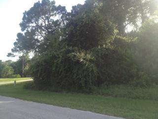 149 Filbert St, Sebastian, FL 32958-2203