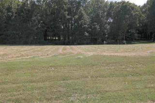 195 Willow Bnd Way, Lakeland TN  38002-4335 exterior