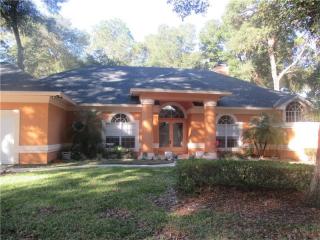 2313 Park Village Pl, Apopka, FL 32712-2417