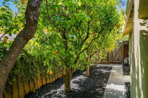 368 Fontainbleau Ter, Los Altos CA  94022-2229 exterior