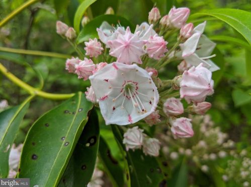 8819 Clinton Dr, Nokesville VA  20181-3205 exterior