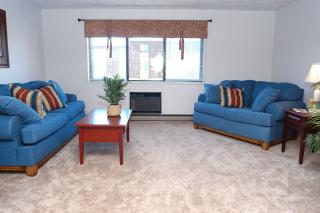 1720 Caravelle Dr, Niagara Falls NY  14304-2767 exterior
