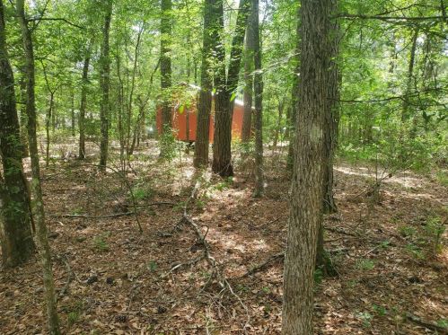 13785 County Road 201 Loop, Plantersville, TX 77363-5005