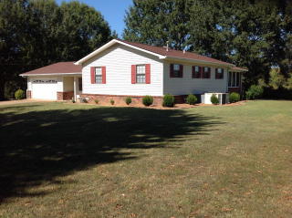 161 David St, Mc Kenzie, TN 38201-8926