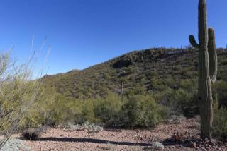 2351 Saenz Dr, Tucson, AZ 85746-4247