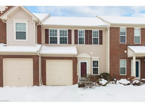 113 River Rock Way, Berea, OH 44017-3154