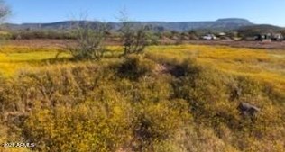 43201 14th St, Phoenix AZ 85087-7979 exterior