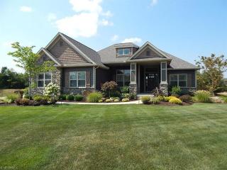 2854 Wind Field Dr, Medina, OH 44256-6146