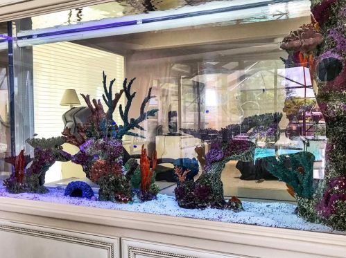 1441 Riviera Dr, Kissimmee FL 34744-6647 exterior