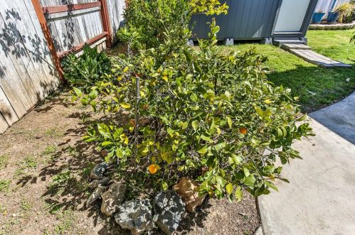 8489 Mcgray Way, Elk Grove CA  95624-4121 exterior