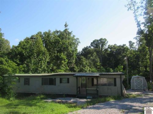 13 Hickory Dr, Golden Pond, KY 42211-8604