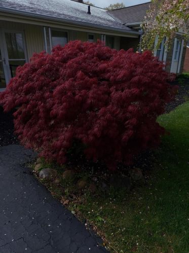 121 Danville Pike, Fairfax OH  45133-1204 exterior