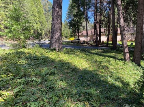 6592 Imperial Way, Nimshew CA  95954-9367 exterior