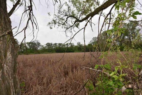 502 Scott St, Fond Du Lac WI  54935-2607 exterior