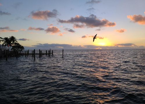 101 Marina Ave, Key Largo, FL 33037-4311