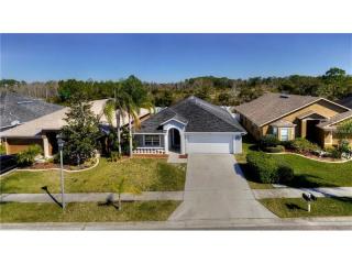 1104 Rosefaire Pl, Odessa, FL 33556-6072