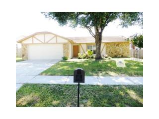 2821 Manor Hill Dr, Brandon FL  33511-7576 exterior