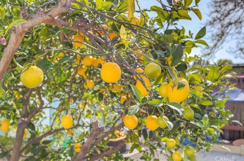 125 Allen St, Pismo Beach CA  93420-3301 exterior