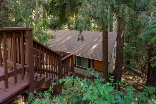 3650 Gold Ridge Trl, Pacific House, CA 95726-9734
