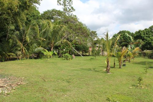 18852 50 St, Town Of Loxahatchee Groves FL  33470-2346 exterior