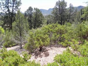 910 Ridgeway St, Payson, AZ 85541-5737