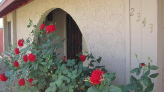 2343 Glade Ave, Mesa, AZ 85204-6125