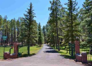 3563 Cary Ct, Pinetop AZ  85935-8949 exterior