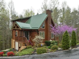 165 Dream Rd, Hendersonville, NC 28792-6418