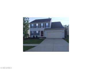 10091 Ridgeside Ct, Streetsboro, OH 44241-6611
