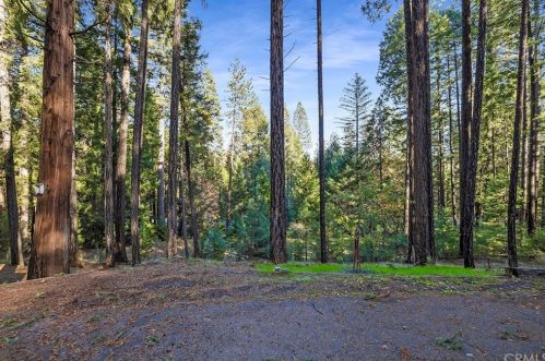 14873 Klamath Ct, Nimshew CA  95954-9677 exterior