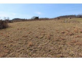 175 Spurgeon Ln, Blountville, TN 37617-5822