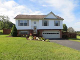 102 Meadowlark, Jonesborough, TN 37659-4653