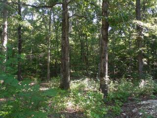 200 Robison Rd, Finger, TN 38334-3640