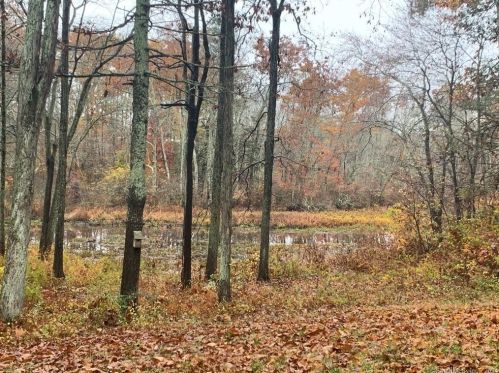 58 Johnson Cove Rd, Norwich CT  06351-1022 exterior