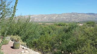 7667 Vivaldi Ct, Tucson, AZ 85747-9631