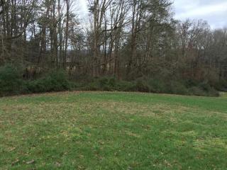 3746 Windstream Dr, Friendsville, TN 37737-3170
